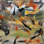 Guppies man en vrouwtjes, Vis