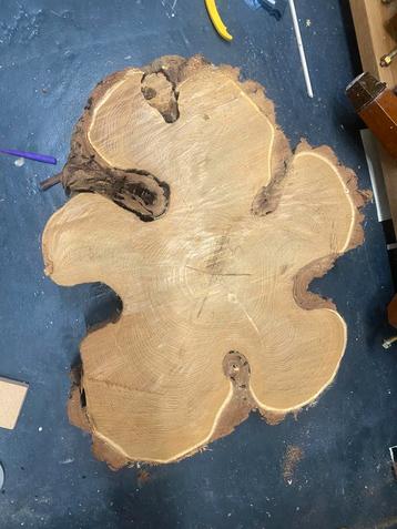 2x mooie dikke ruwe schijf hout voor een tafelblad beschikbaar voor biedingen