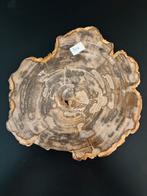 Versteend hout plak, Ophalen of Verzenden, Mineraal