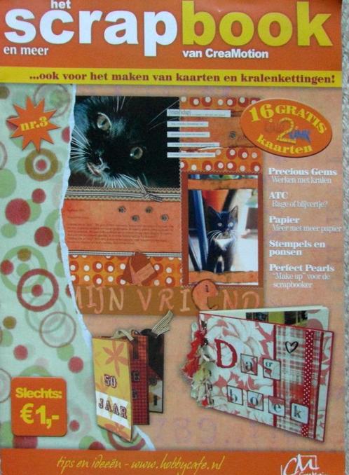 Stap voor stap SCRAPBOOK Projecten., Boeken, Hobby en Vrije tijd, Zo goed als nieuw, Houtbewerking, Ophalen of Verzenden