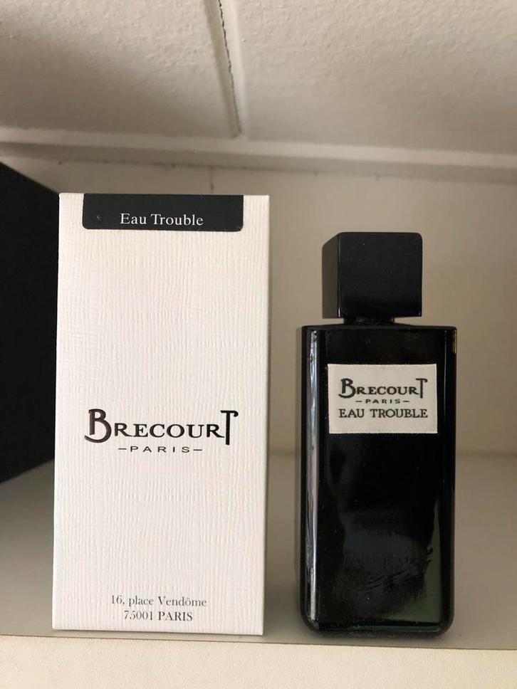 Brecourt Eau Trouble - Parfum 100ml *niche, Sieraden, Tassen en Uiterlijk, Uiterlijk | Parfum, Ophalen of Verzenden