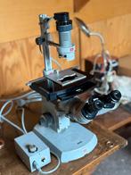 Carl Zeiss Omgekeerde Microscoop, Ophalen, Gebruikt, 400x tot 1000x, Biologische microscoop