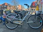 Batavus mambo 28 inch 8 versnellingen, Ophalen, Batavus, Nl, Nl
