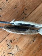 Speren, Antiek en Kunst, Kunst | Niet-Westerse kunst, Ophalen of Verzenden