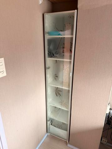 Compacte kast met glazen deur beschikbaar voor biedingen