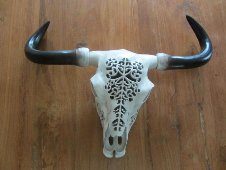 Scandinavische Vikingcultuur dierenschedel / hoofd, Huis en Inrichting, Woonaccessoires | Wanddecoraties, Nieuw, Ophalen of Verzenden