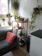 Stellingkast, Huizen en Kamers, Kamers te huur, Nijmegen