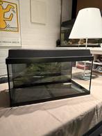 Juwel aquarium 60L + filter, Dieren en Toebehoren, Vissen | Aquaria en Toebehoren, Ophalen, Zo goed als nieuw, Leeg aquarium
