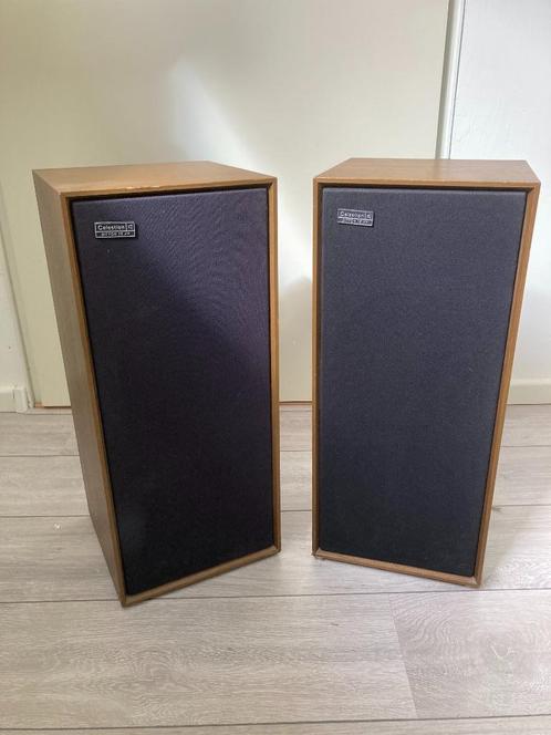 Selestion Ditton 15XR speakerboxen - Vintage  57x24x25cm, Audio, Tv en Foto, Luidsprekers, Gebruikt, Front, Rear of Stereo speakers