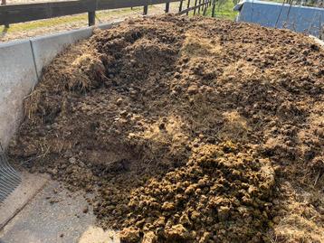 GRATIS Paardenmest beschikbaar voor biedingen