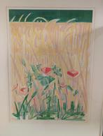 Koren  van Luuk scholten, Ophalen