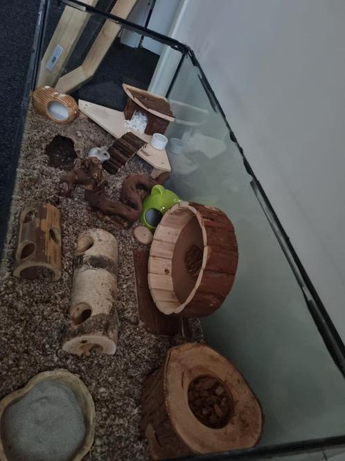 Hamster kooi, Dieren en Toebehoren, Knaagdieren en Konijnen | Hokken en Kooien, Zo goed als nieuw, Kooi, Minder dan 60 cm, Minder dan 75 cm