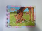 Topmodel Top Model kleurboek tekenboek Horse Dreams paarden, Hobby en Vrije tijd, Tekenen, Ophalen of Verzenden