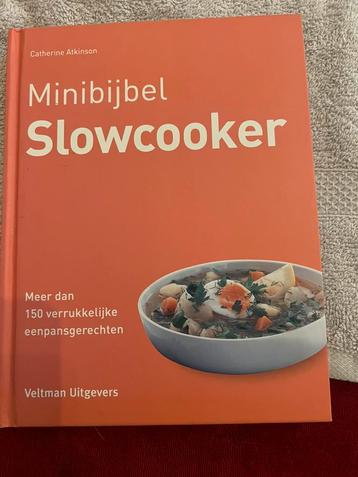 Catherine Atkinson - Slowcooker beschikbaar voor biedingen