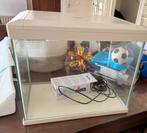 Aquarium, Ophalen, Zo goed als nieuw, Leeg aquarium