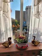 Houten Eenden Beelden - Decoratief, Tuin en Terras, Tuinbeelden, Ophalen, Gebruikt, Hout, Dierenbeeld