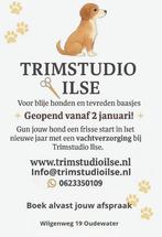 Trimsalon opent haar deuren in Oudewater, Diensten en Vakmensen