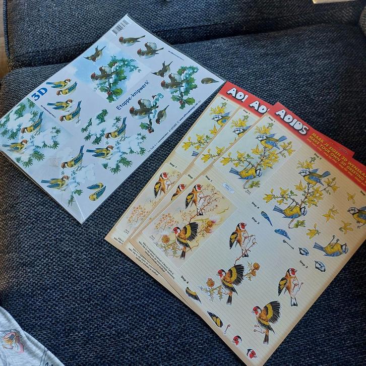 3D knipwerk vogel putter pimpelmees - 8 vellen, Hobby en Vrije tijd, Knutselen, Nieuw, Ophalen of Verzenden