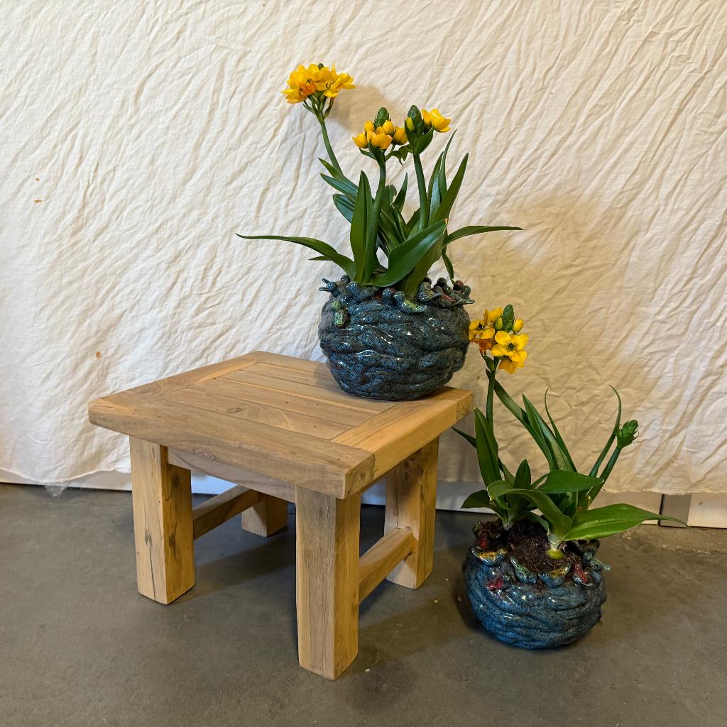 Tuin bijzettafeltje - 35 x 30 cm - massief teak - TTM Wonen, TTM Wonen, Meubels – (Perzische) Tapijten en Woonaccessoires, Taag 63, 2491 CS, Den Haag (Forepark)