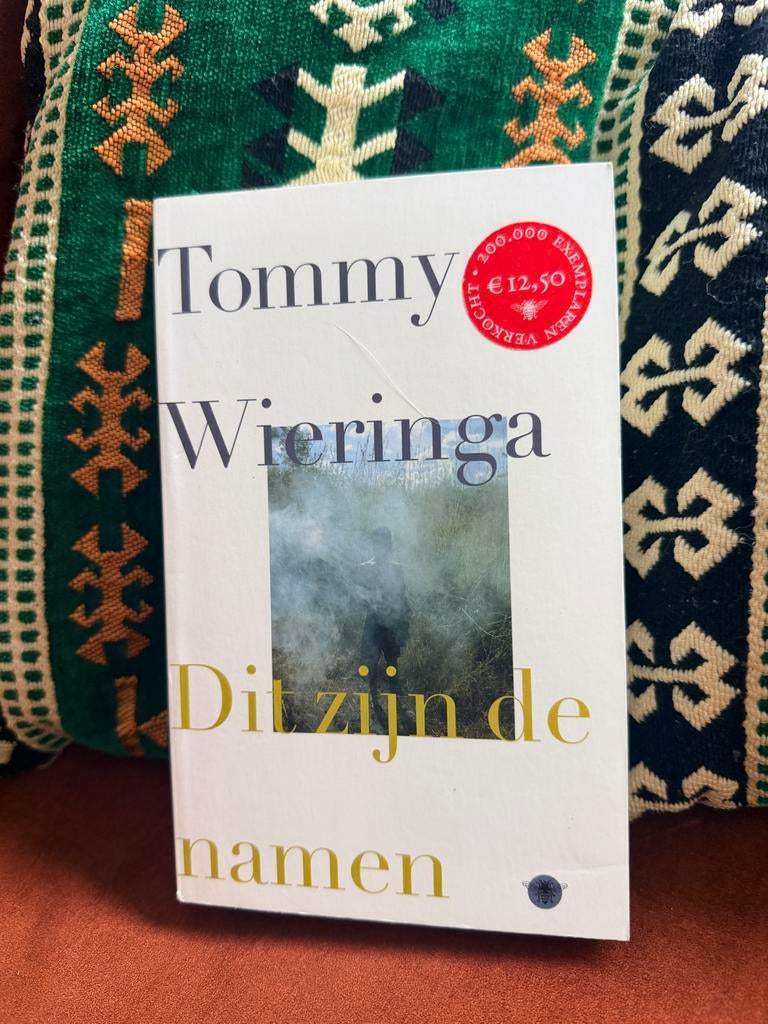 Tommy Wieringa - Dit zijn de namen, Boeken, Ophalen of Verzenden, Gelezen, Nederland