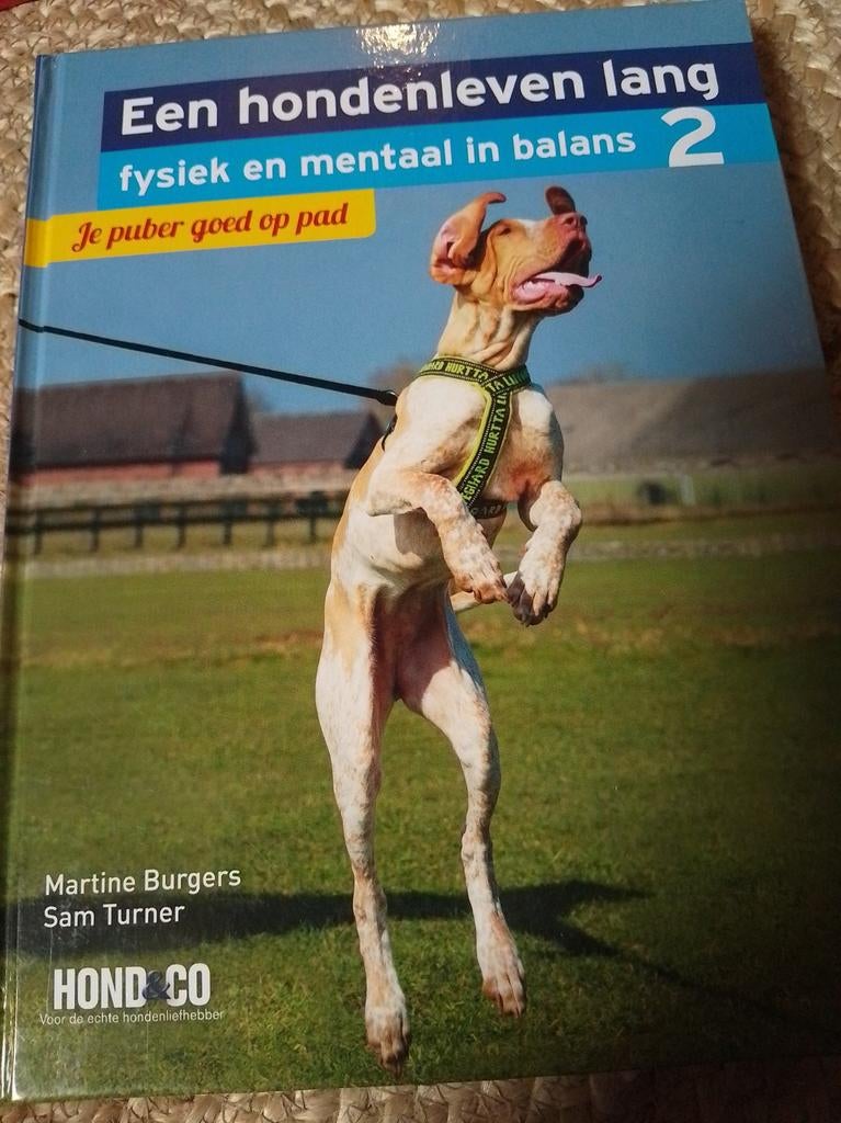 Een hondenleven lang 2: Je puber goed op pad, Boeken, Dieren en Huisdieren, Ophalen of Verzenden