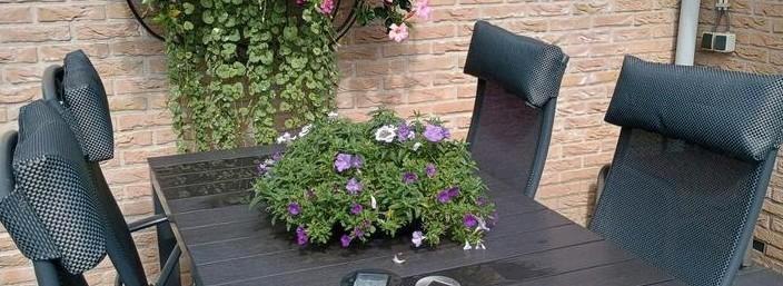 Hoofdkussens voor tuinstoelen, Tuin en Terras, Tuinsets en Loungesets, Nieuw, Aluminium, 2 zitplaatsen, Stoel, Ophalen of Verzenden