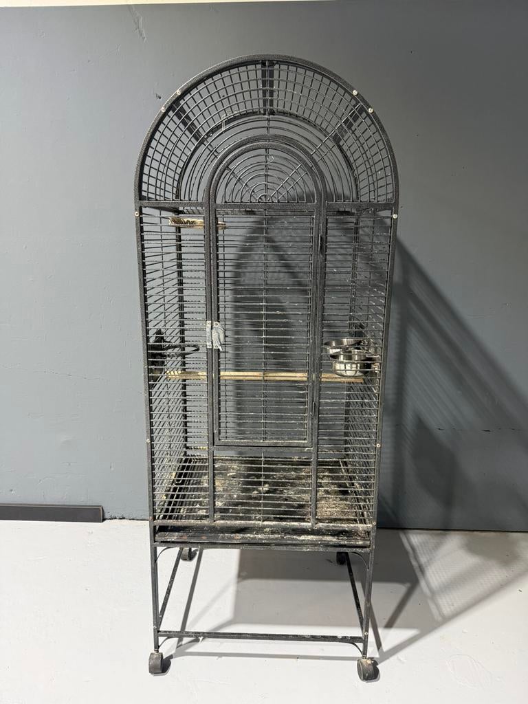 Vogelkooi papegaai kooi, Dieren en Toebehoren, Vogels | Hokken en Kooien, Ophalen of Verzenden, Zo goed als nieuw, Metaal, Vogelkooi