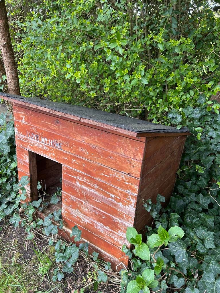 Hondenhok, Dieren en Toebehoren, Hondenhokken, Ophalen, Gebruikt, 65 tot 100 cm, Hondenhok