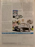 Gezocht: Rens Biesma poster / Ovaal Kever, Rechthoekig Liggend, Nieuw, Ophalen of Verzenden, A1 t/m A3