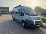 Fiat Ducator Globecar Globescout buscamper 6m Dakairco, Fiat, Tot en met 3, Particulier, 5 tot 6 meter