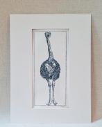Ets struisvogel met passe partout 30x40 cm, Minder dan 50 cm, Oorspronkelijke maker, Nieuw, Ophalen of Verzenden