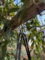 Ronde schommel voor in de tuin - Zwart, Ophalen, Gebruikt