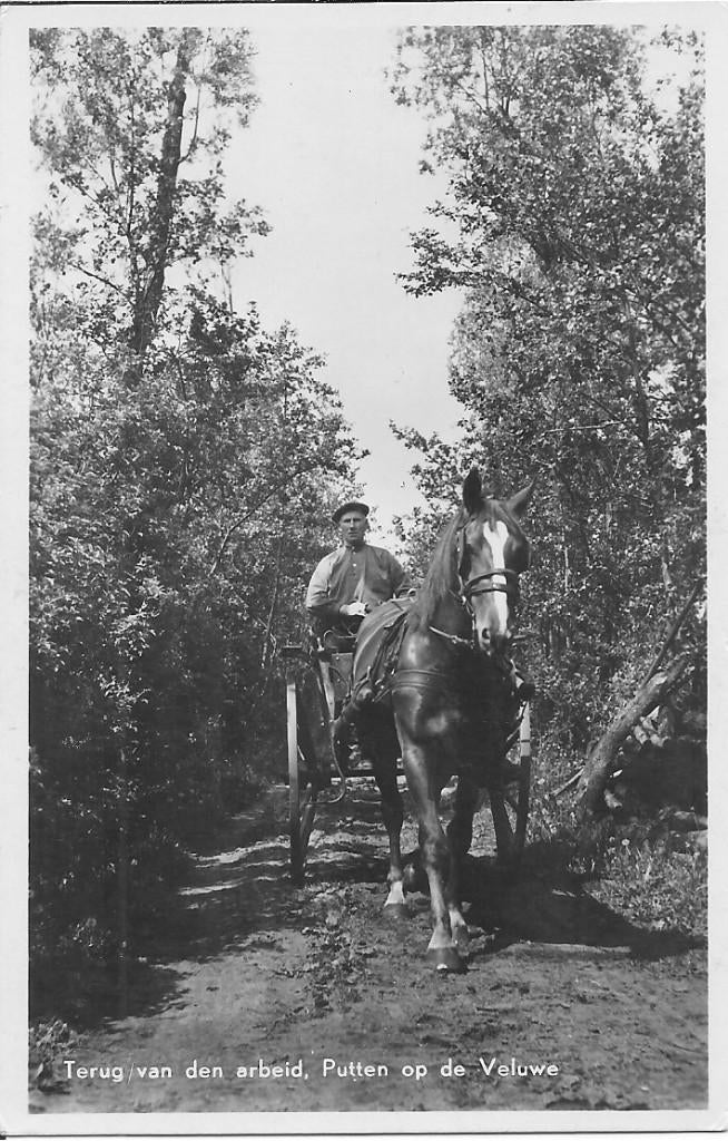 Terug van den arbeid  Putten op de Veluwe., Ophalen of Verzenden, 1960 tot 1980, Ongelopen, Gelderland