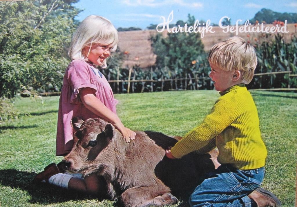 Hartelijk gefeliciteerd - jongen en meisje met koe - nieuw, Verzenden, 1980 tot heden, Ongelopen, Kinderen