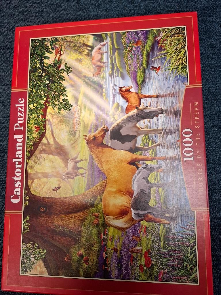 Puzzel 1000 stukjes, Hobby en Vrije tijd, Denksport en Puzzels, Ophalen, 500 t/m 1500 stukjes, Zo goed als nieuw, Legpuzzel