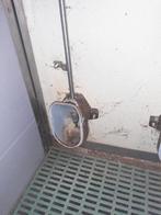 Waterbakken biggen, Meerdere dieren, Varken