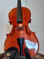 Framus - 3/4 Viool - Copy of Stradivarius, Muziek en Instrumenten, Gebruikt, 3/4-viool, Viool, Ophalen of Verzenden