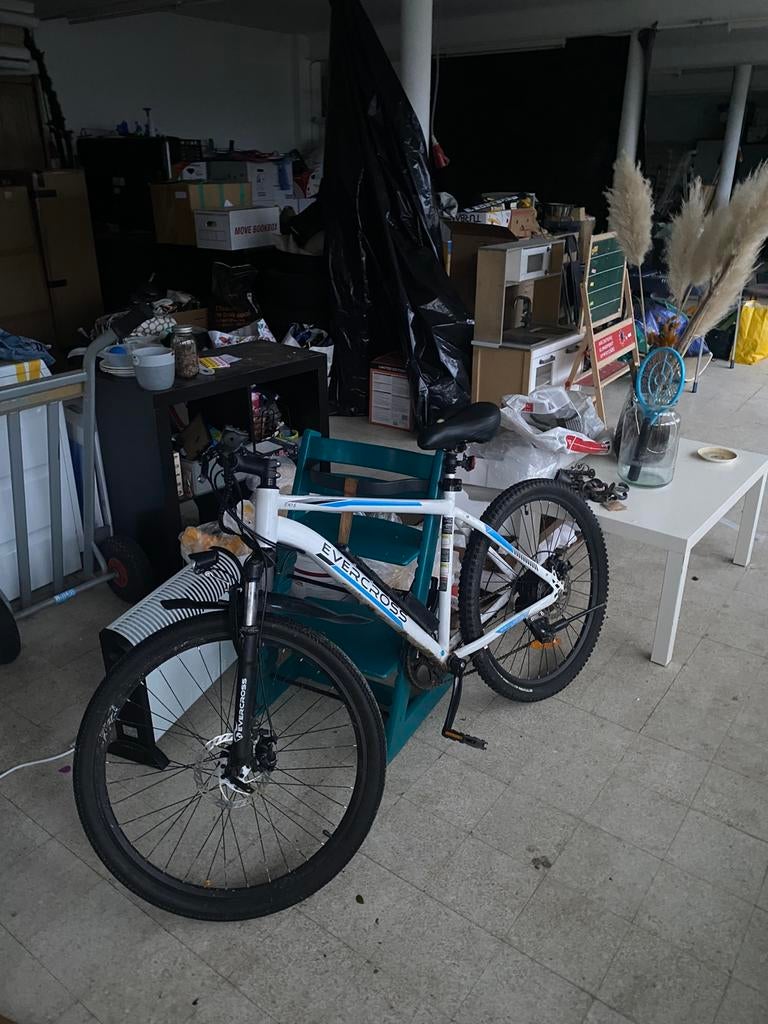 elektrische fiets, Zo goed als nieuw, 59 cm of meer, 30 tot 50 km per accu, Ophalen