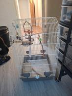 Vogelkooi, Dieren en Toebehoren, Ophalen, Zo goed als nieuw, Metaal, Vogelkooi