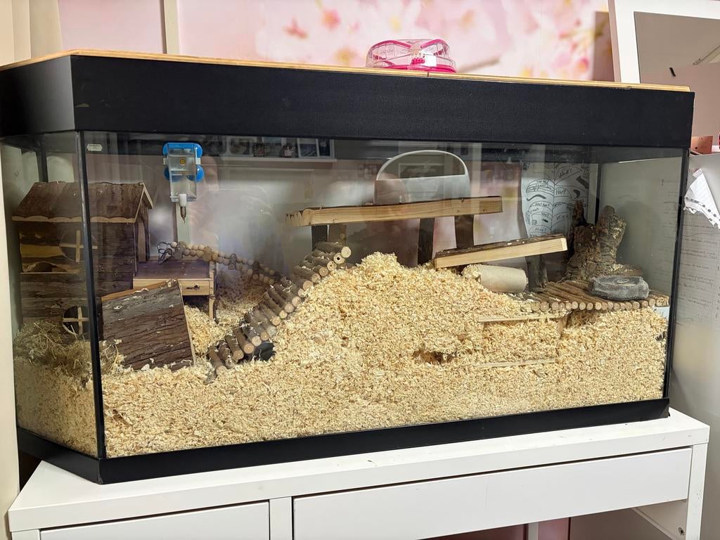 Hamsterhok + complete hamster scape te koop, Ophalen, Gebruikt, Loopwiel of Rad