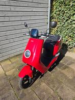 Niu N1S Electrische Scooter, Overige merken, Gebruikt, Elektrisch, Ophalen of Verzenden
