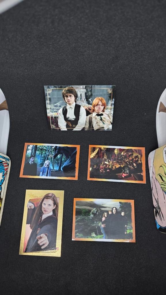 Harry Potter Panini Kaarten: A Year in Hogwarts, Verzamelen, Harry Potter, Ophalen of Verzenden, Zo goed als nieuw, Overige typen