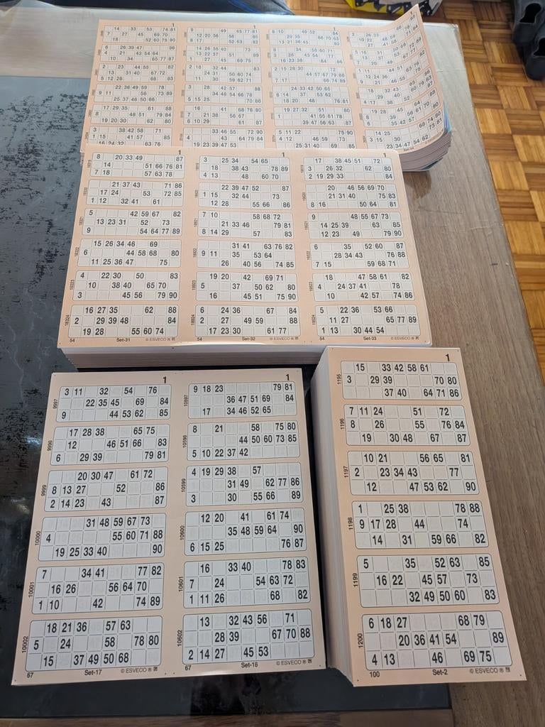 Bingo Boeken 12 Ronde's, Ophalen of Verzenden, Nieuw