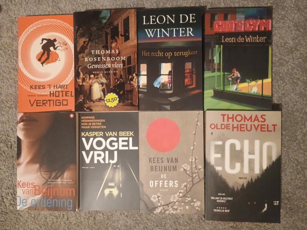 Diverse Nederlandse romans, Ophalen of Verzenden, Zo goed als nieuw