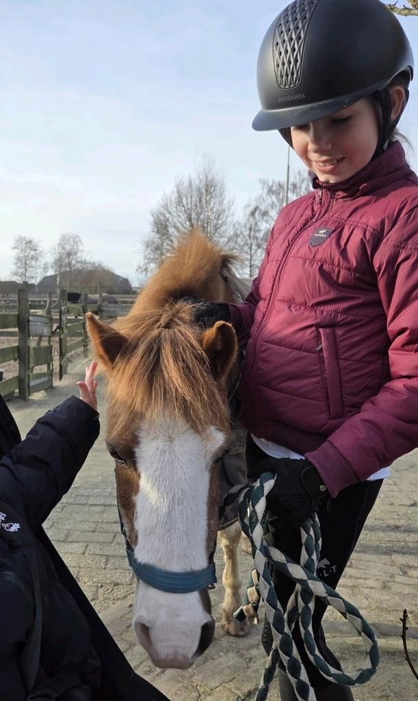 Verzorgpony gezocht, bijrijder, stalhulpje aangeboden!, Ophalen