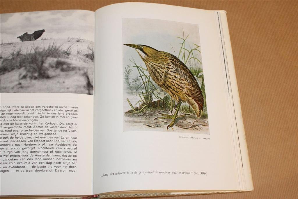 Het Vogeljaar [1969] — Natuurbeschrijving — Jac P. Thijsse, Boeken, Ophalen of Verzenden, Gelezen, Vogels
