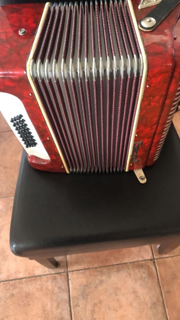 Nette Accordeon Parrot  32 bassen, Muziek en Instrumenten, Accordeons, Overige merken, Gebruikt, 32-bas, Met koffer