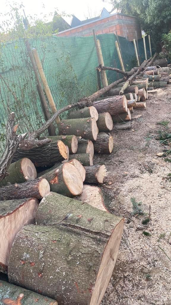 4 a 5 m3 vers gezaagd hout ( 90% spar/10% loof ), Tuin en Terras, Haardhout, 3 tot 6 m³, Ophalen