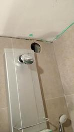 Douchepaneel met regendouche en handdouche, Ophalen of Verzenden, Gebruikt, Douche