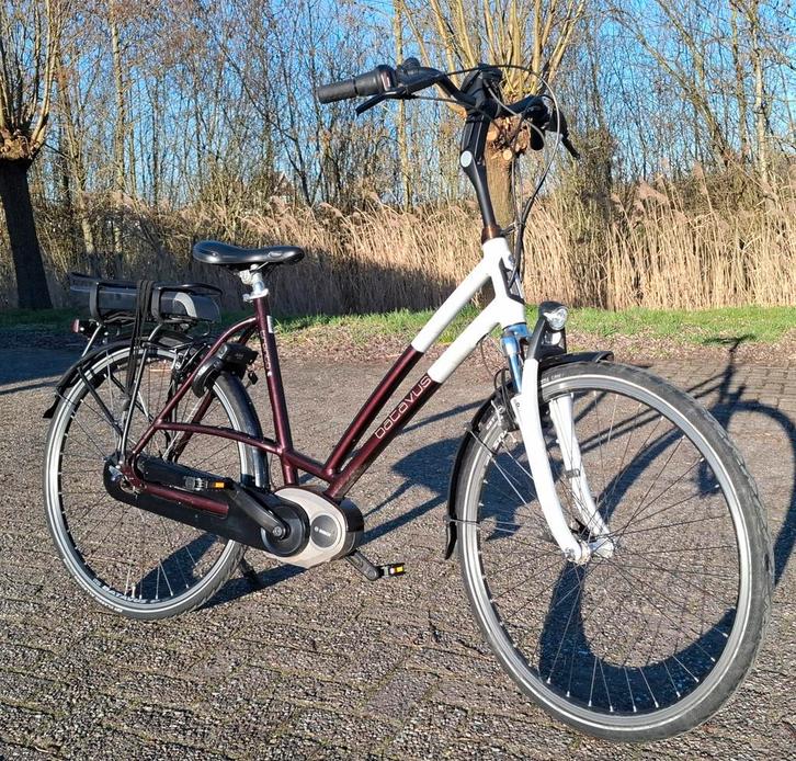 Zeer nette Batavus E-bike, 56cm, Bosch middenmotor ✅, Fietsen en Brommers, Elektrische fietsen, Zo goed als nieuw, Cortina, 55 tot 59 cm
